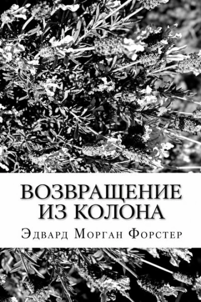 Возвращение из Колона - Форстер Эдвард